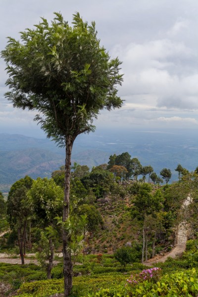 IMG 1005Final 5D mk2