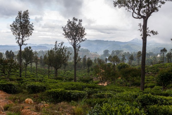 IMG 1007Final 5D mk2