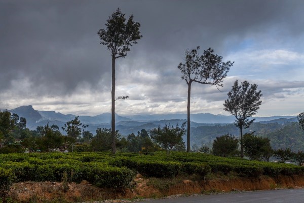 IMG 1010Final 5D mk2