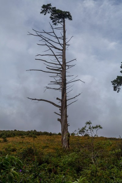 IMG 1085Final 5D mk2