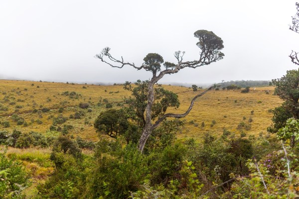 IMG 1090Final 5D mk2