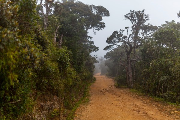 IMG 1093Final 5D mk2