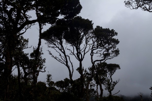 IMG 1111Final 5D mk2