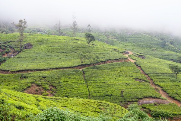 IMG 1206Final 5D mk2