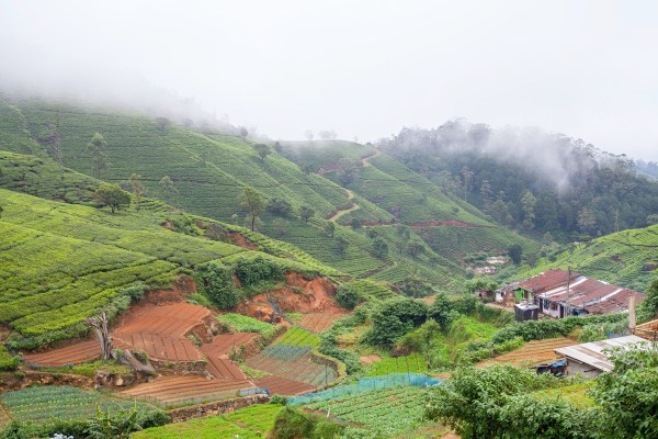 IMG 1209Final 5D mk2