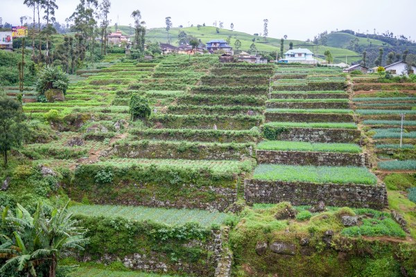 IMG 1213Final 5D mk2