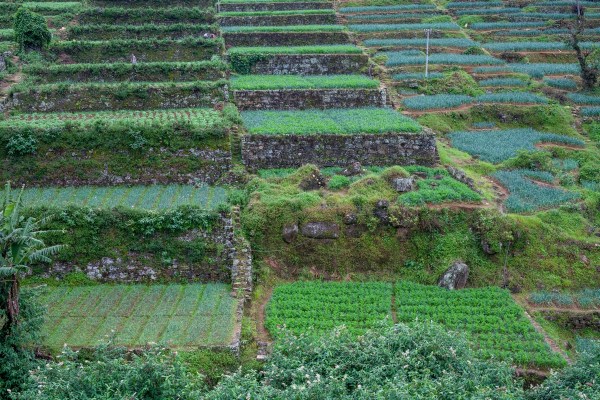 IMG 1216Final 5D mk2