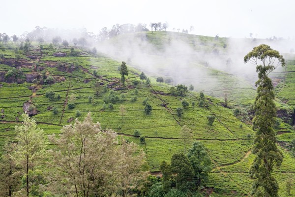 IMG 1217Final 5D mk2