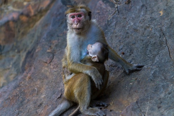 IMG_5638Final-7D.jpg IMG 5638Final 7D