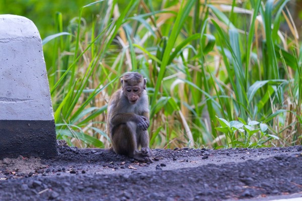 IMG_5643Final-7D.jpg IMG 5643Final 7D