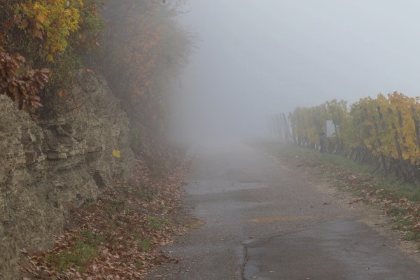 AD1A0437Final 7D Mk2