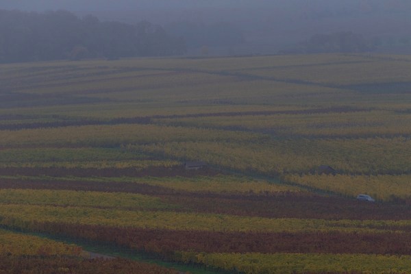 AD1A0475Final 7D Mk2