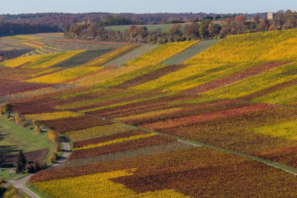 AD1A0551Final 7D Mk2