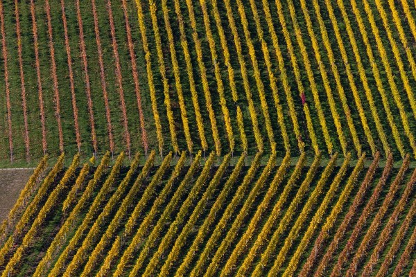 AD1A0557Final 7D Mk2