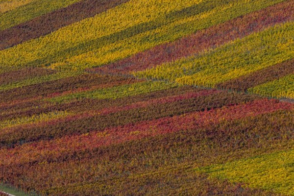 AD1A0560Final 7D Mk2