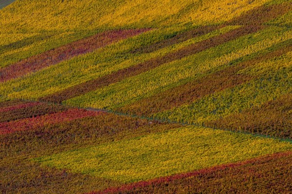 AD1A0573Final 7D Mk2