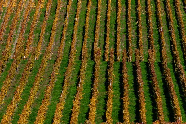 AD1A0595Final 7D Mk2