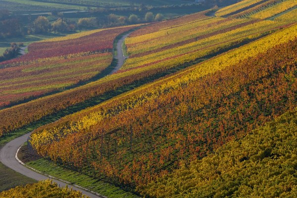 AD1A0616Final 7D Mk2