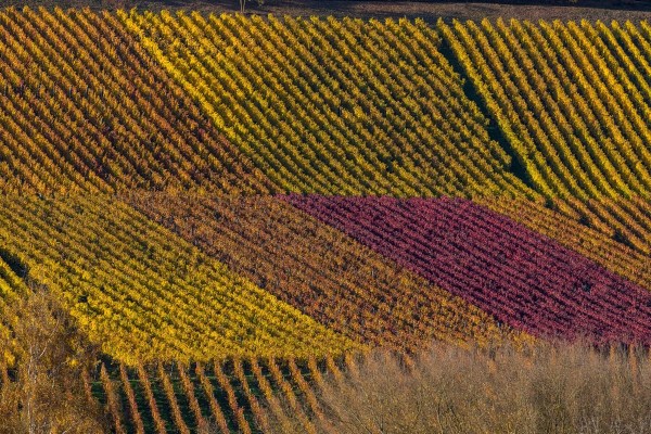 AD1A0625Final 7D Mk2