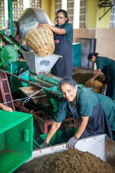 IMG 1238Final 5D mk2