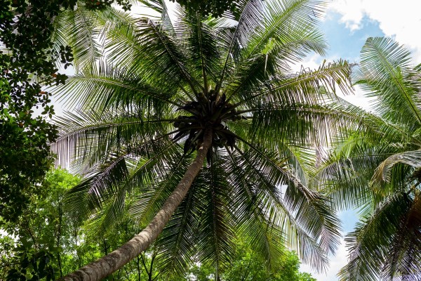 IMG 1297Final 5D mk2