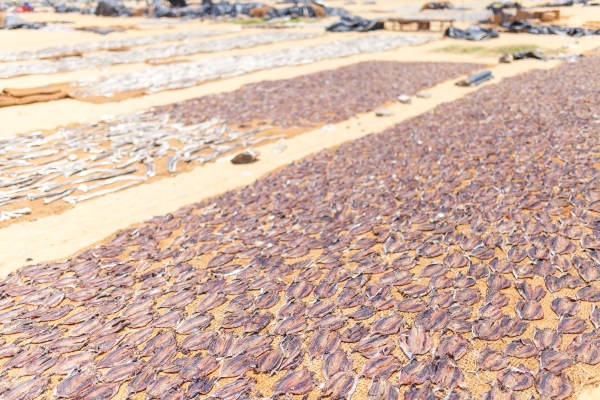 IMG_1553Final-5D-mk2.jpg IMG 1553Final 5D mk2