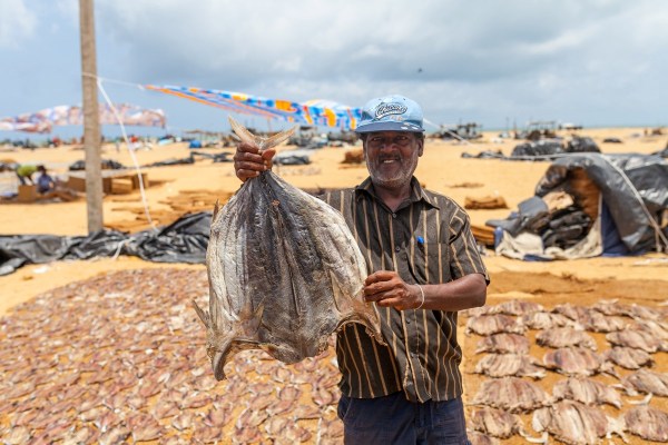 IMG 1554Final 5D mk2