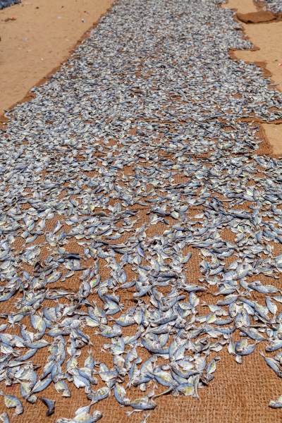 IMG_1556Final-5D-mk2.jpg IMG 1556Final 5D mk2