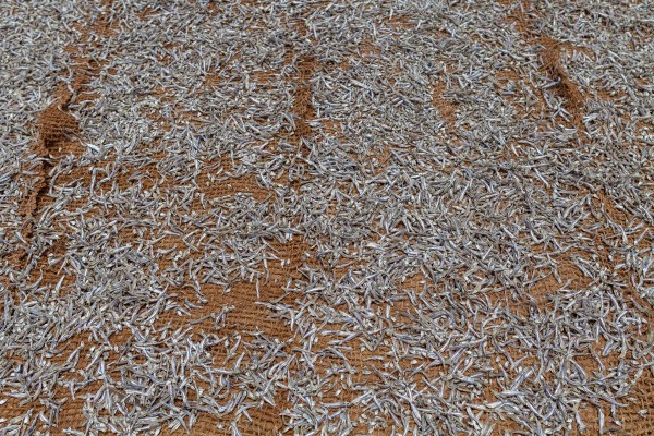 IMG_1567Final-5D-mk2.jpg IMG 1567Final 5D mk2