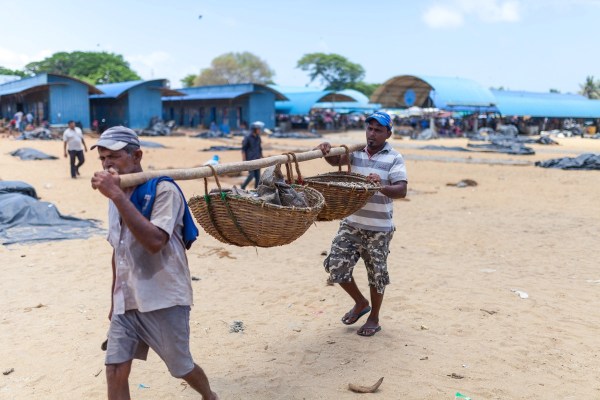 IMG_1574Final-5D-mk2.jpg IMG 1574Final 5D mk2