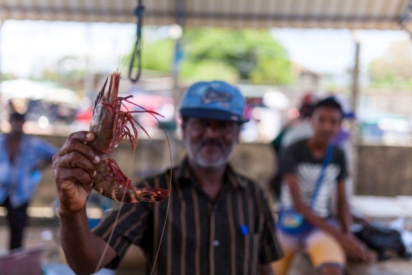 IMG_1593Final-5D-mk2.jpg IMG 1593Final 5D mk2