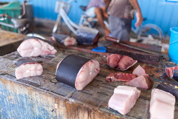 IMG_1597Final-5D-mk2.jpg IMG 1597Final 5D mk2