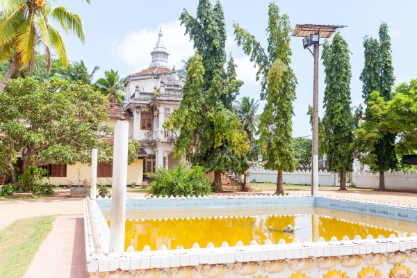 IMG_1611Final-5D-mk2.jpg IMG 1611Final 5D mk2