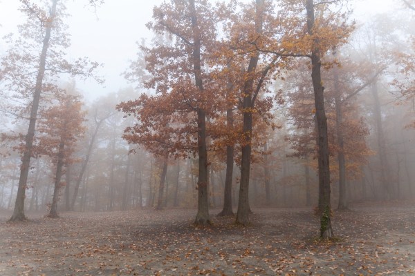 IMG 3353Final 5D Mk2