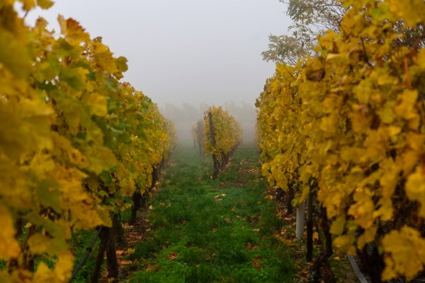 IMG 3393Final 5D Mk2