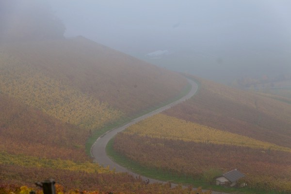 IMG 3410Final 5D Mk2