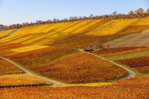 IMG 3430Final 5D Mk2