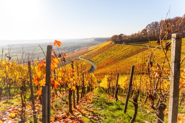 IMG 3442Final 5D Mk2