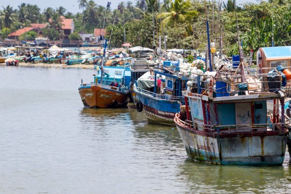 IMG_6487Final-7D.jpg IMG 6487Final 7D