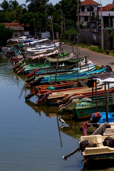 IMG_6498Final-7D.jpg IMG 6498Final 7D