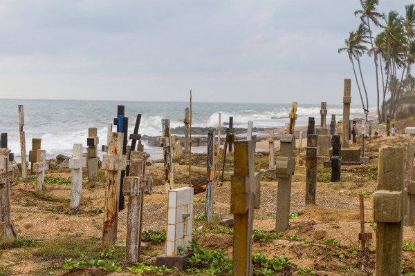 IMG_6535Final-7D.jpg IMG 6535Final 7D