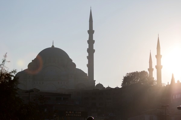 AD1A1142Final 7D Mk2