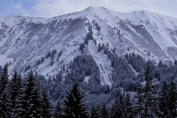 AD1A1482Final 7D Mk2