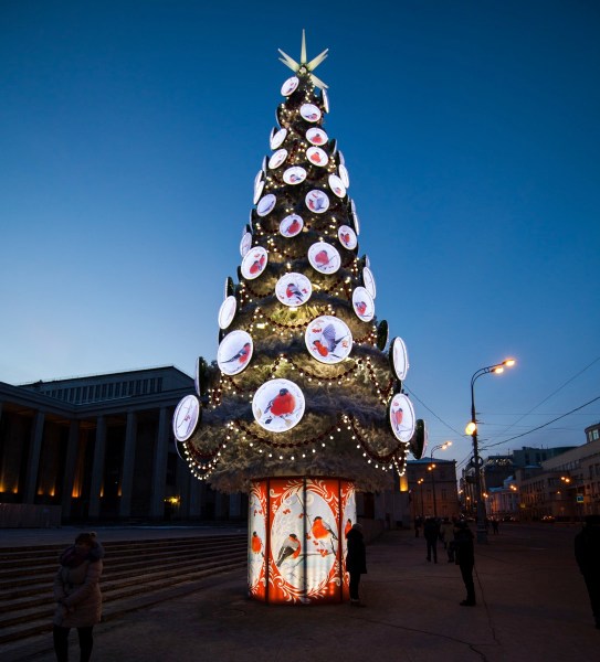 IMG 5193Final 5D Mk2