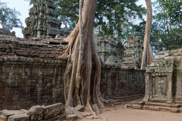 AD1A3060Final-7D-Mk2.jpg AD1A3060Final 7D Mk2