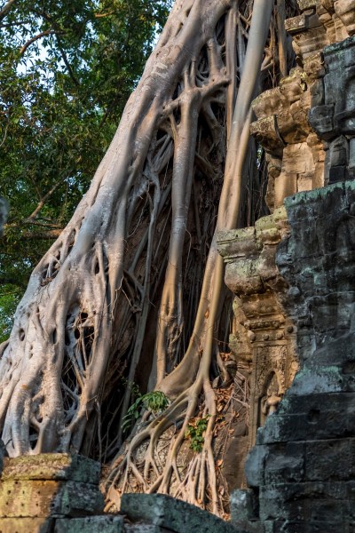 AD1A3081Final 7D Mk2