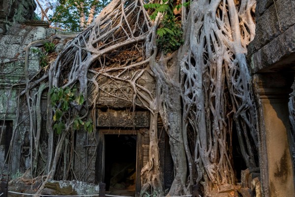 AD1A3084Final 7D Mk2