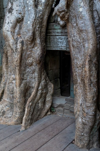 AD1A3087Final 7D Mk2