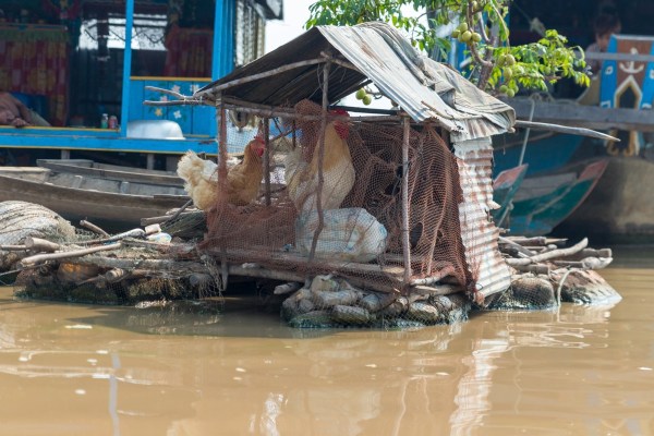 AD1A3366Final 7D Mk2