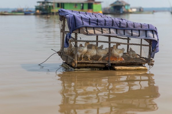 AD1A3368Final 7D Mk2